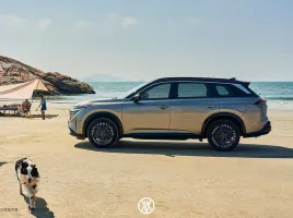NISSAN PATHFINDER 7